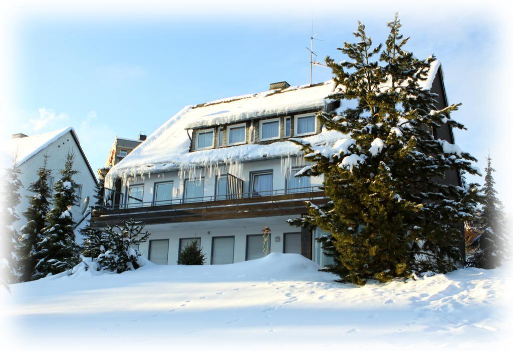 Wietheger'S Gaestehaus Centrum Willingen  Camera foto